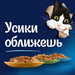 Влажный корм Felix Sensations для взрослых кошек с уткой в соусе с морковью – интернет-магазин Ле’Муррр